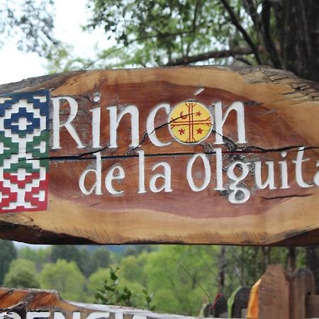 فيلا El Rincon De La Olguita Curacautín المظهر الخارجي الصورة