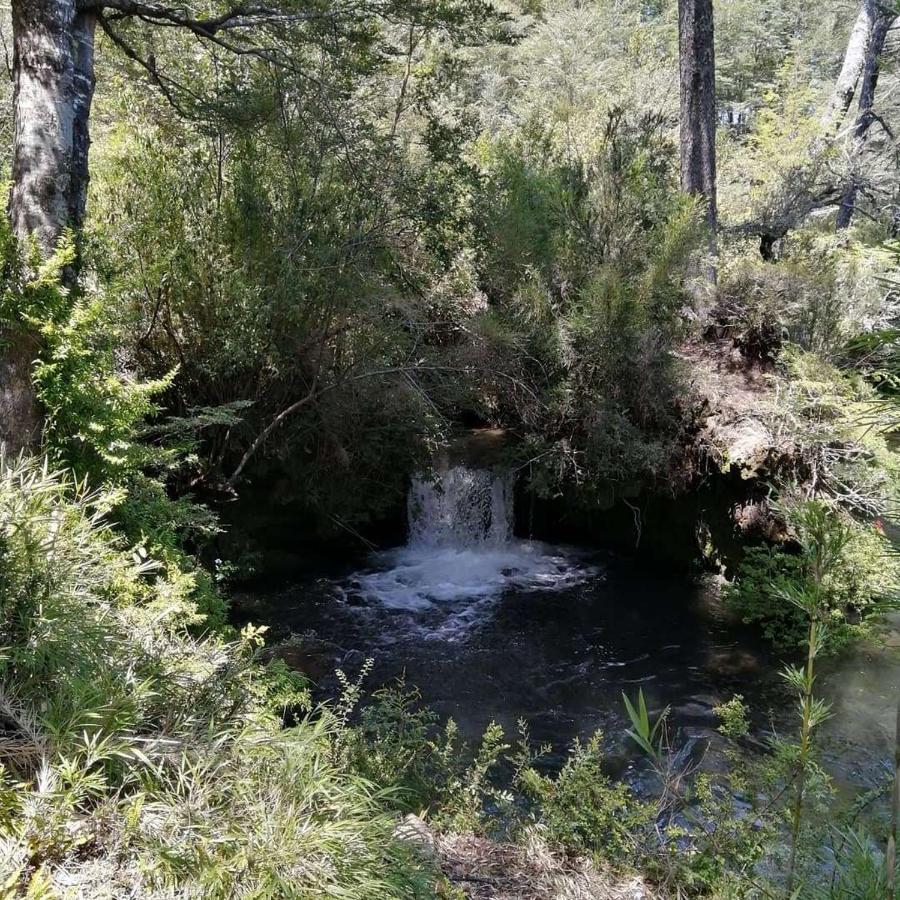 فيلا El Rincon De La Olguita Curacautín المظهر الخارجي الصورة